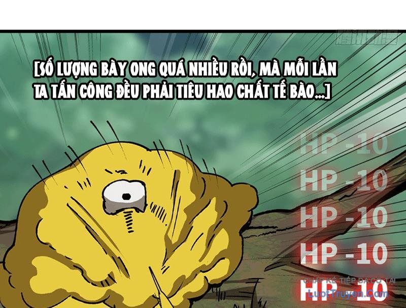 Trang 117