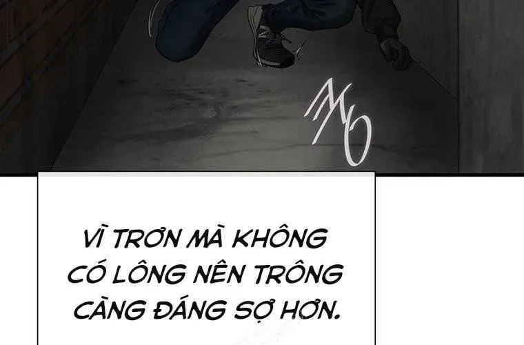 Trang 163