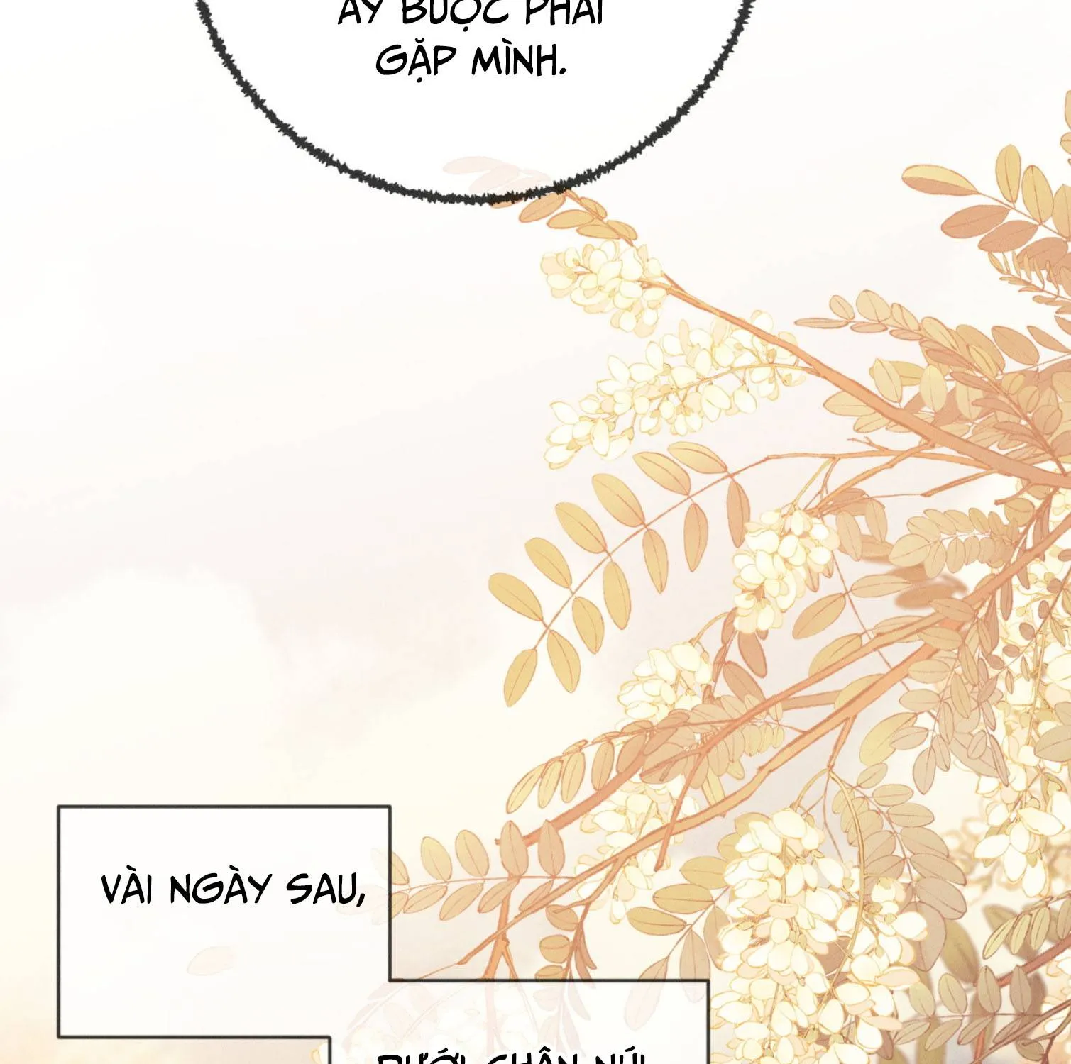Cám dỗ dịu dàng - thâm tình - Chap 34 - Trang 55