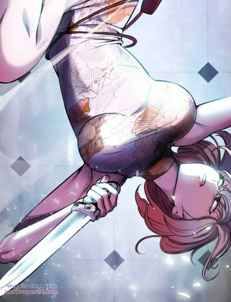 Chapter 217.5 - Trang 3