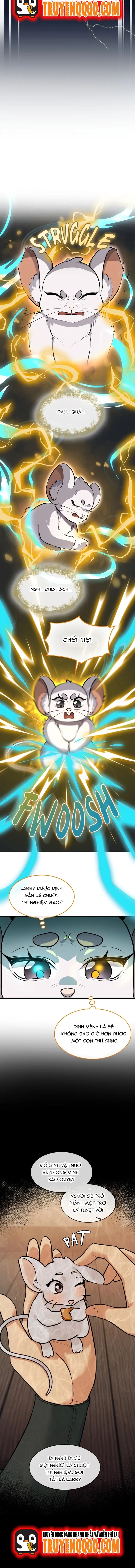 Chương 24 - Trang 8
