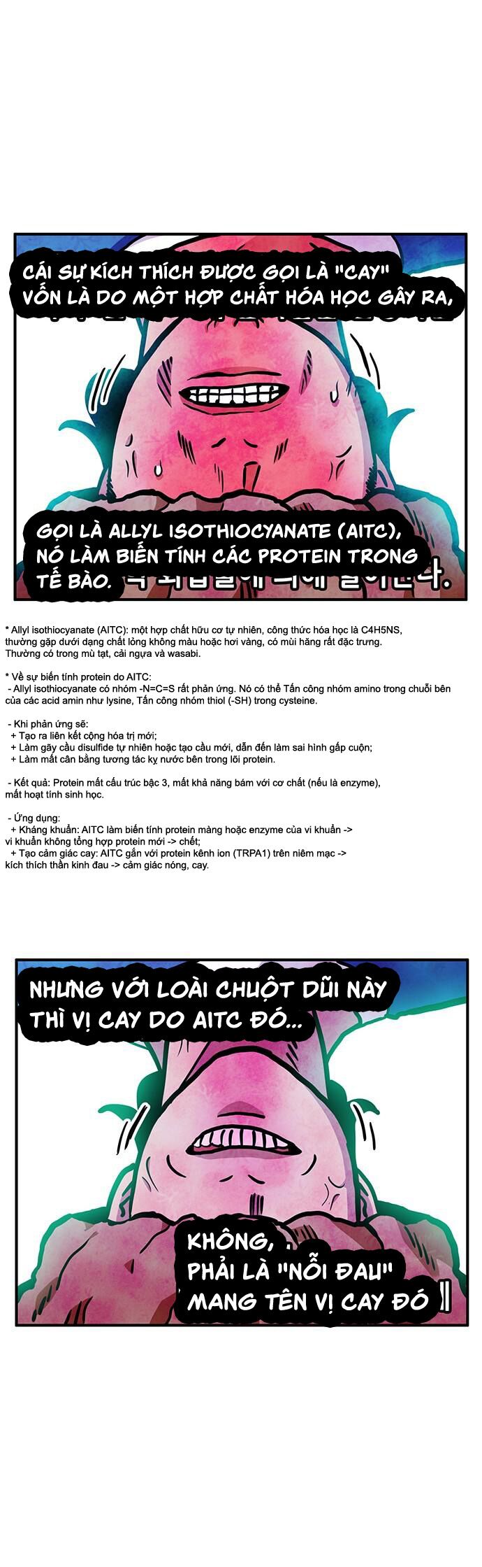 Chương 49 - Trang 31