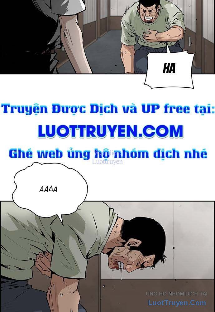 Chương 12 - Trang 52