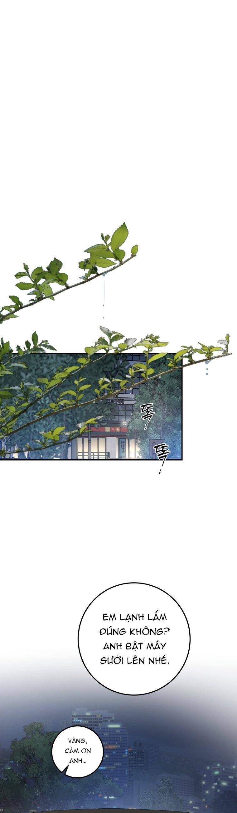 Chương 24 - Trang 11