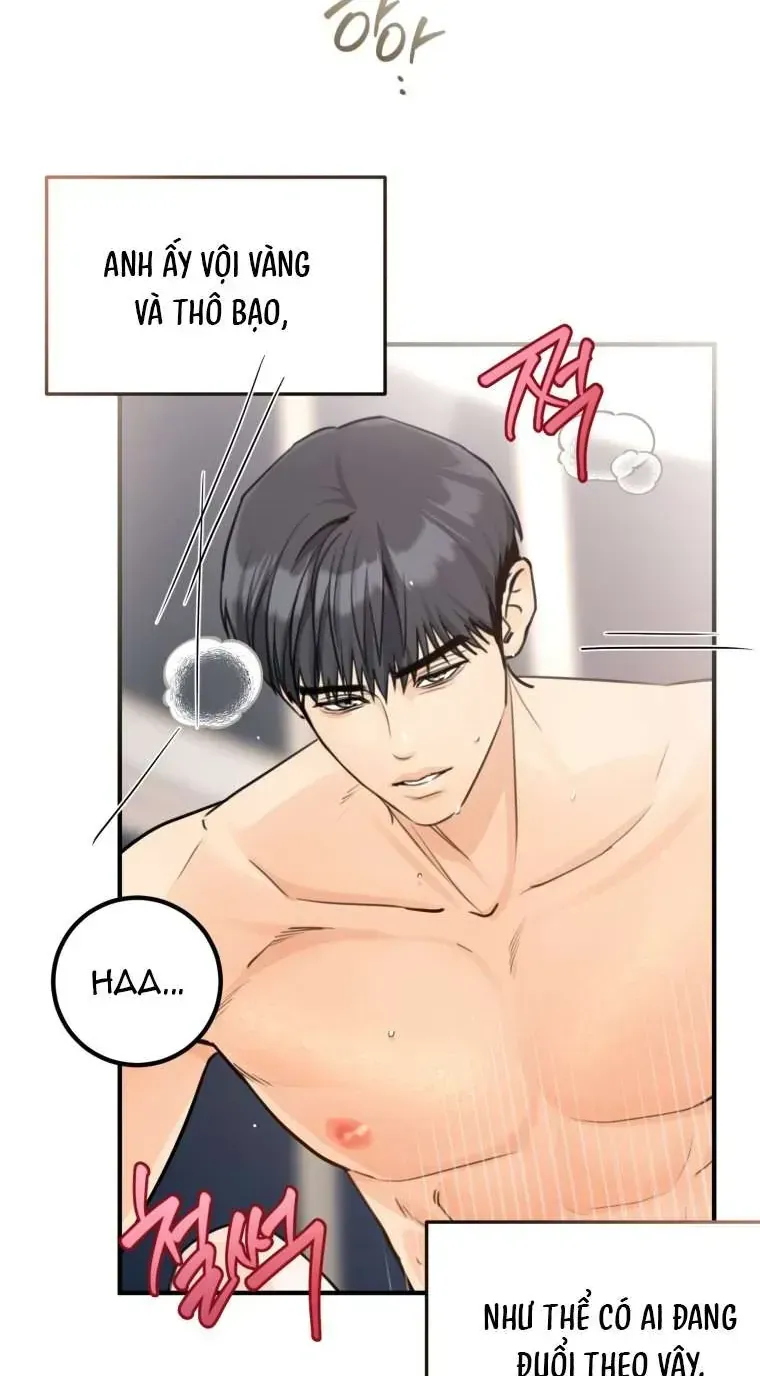 Chương 55 - Trang 19
