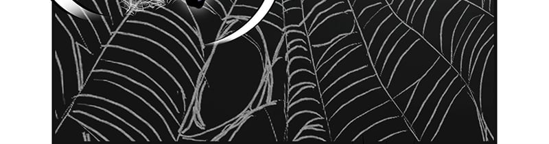 Chương 2 - Trang 80