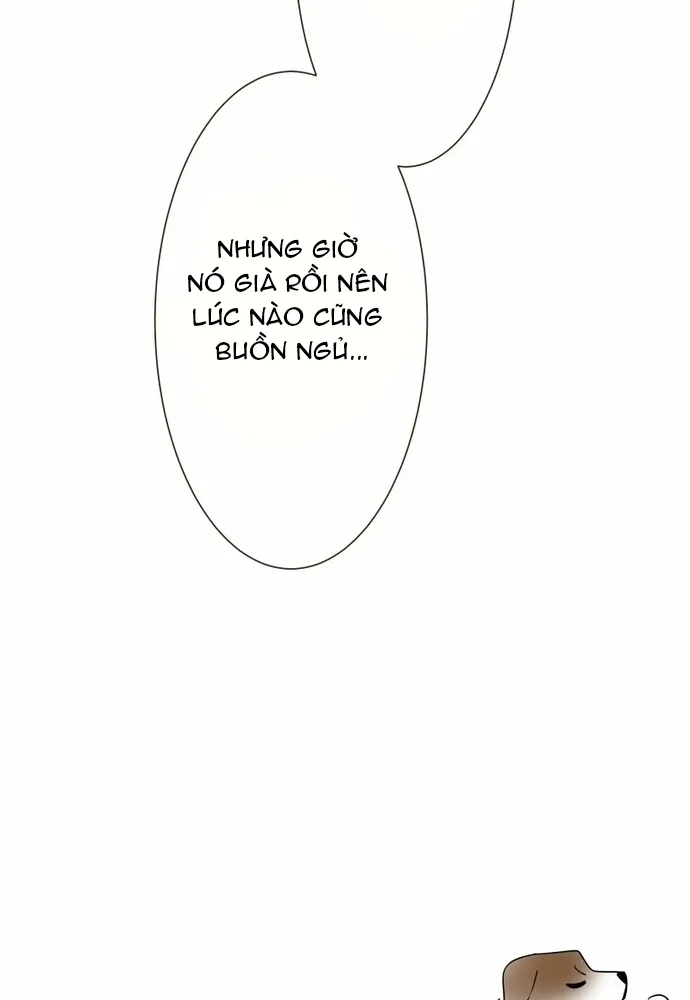 Trang 98
