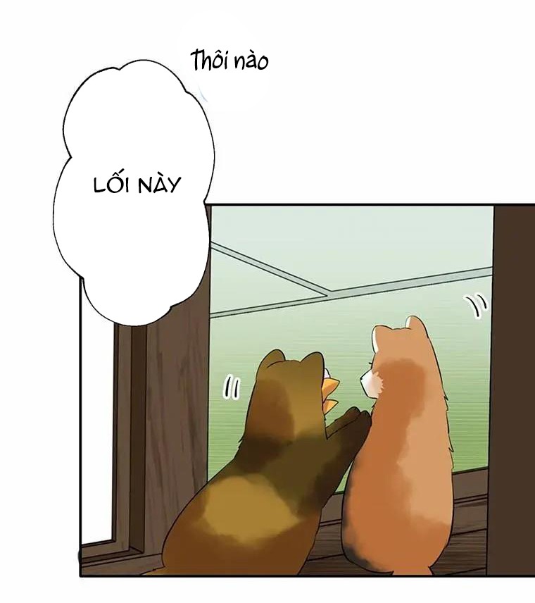 Trang 21