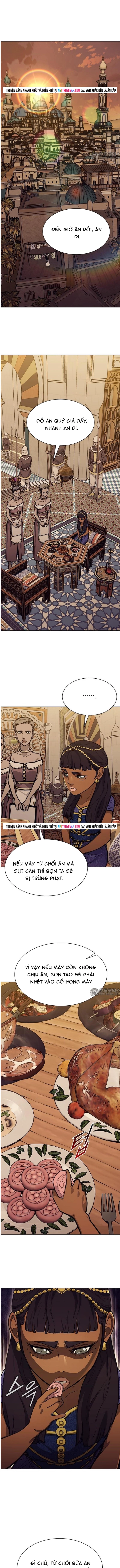 Chapter 251 - Trang 11