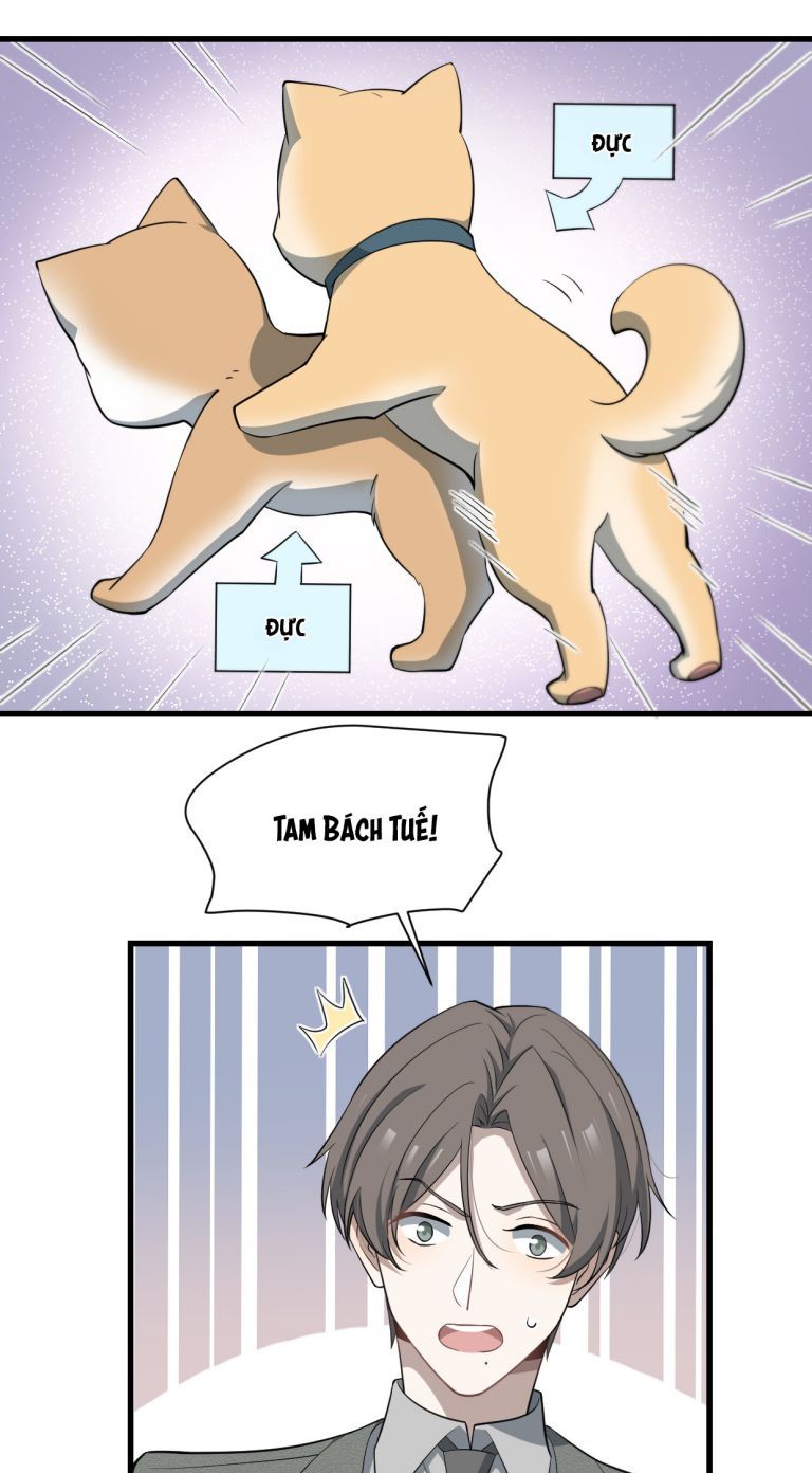 Trang 19