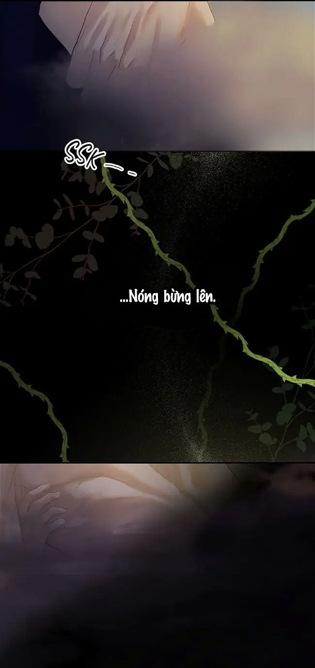 Trang 53
