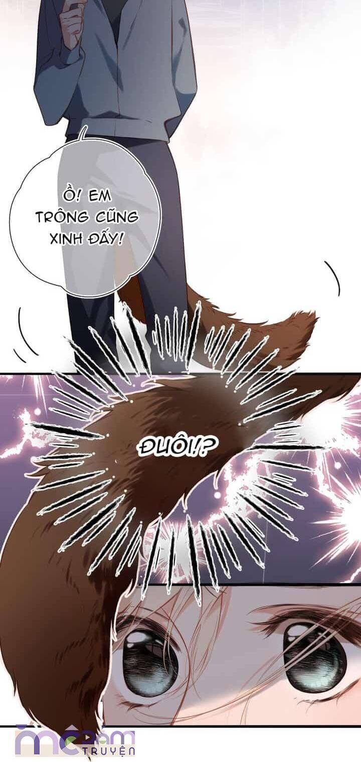 Chương 31 - Trang 7