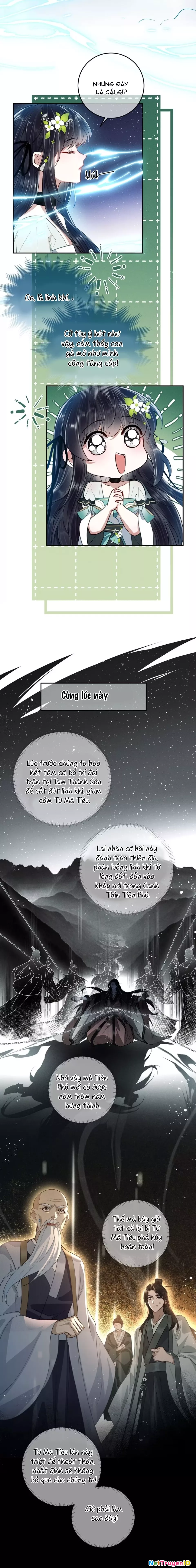 Trang 5
