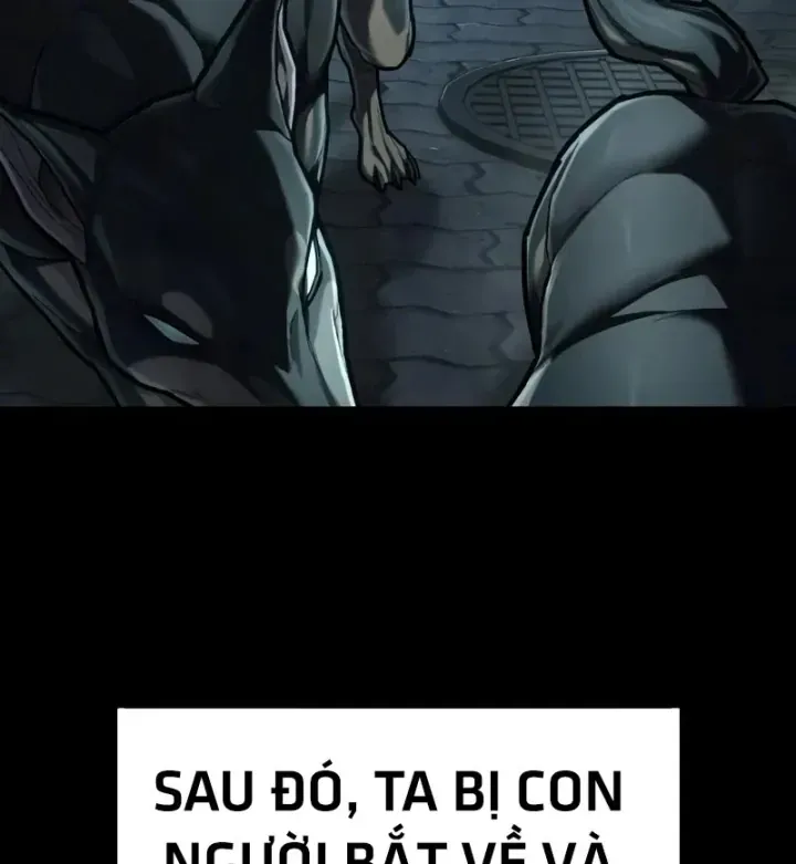 Trang 53