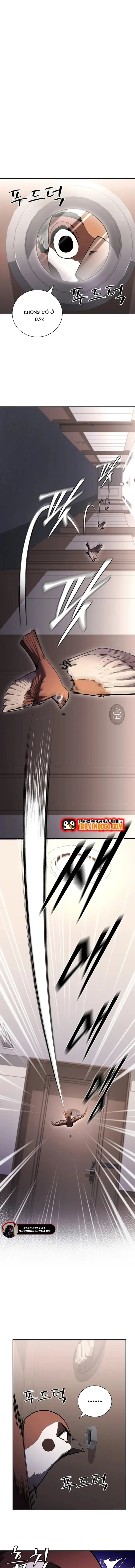 Chương 24 - Trang 17