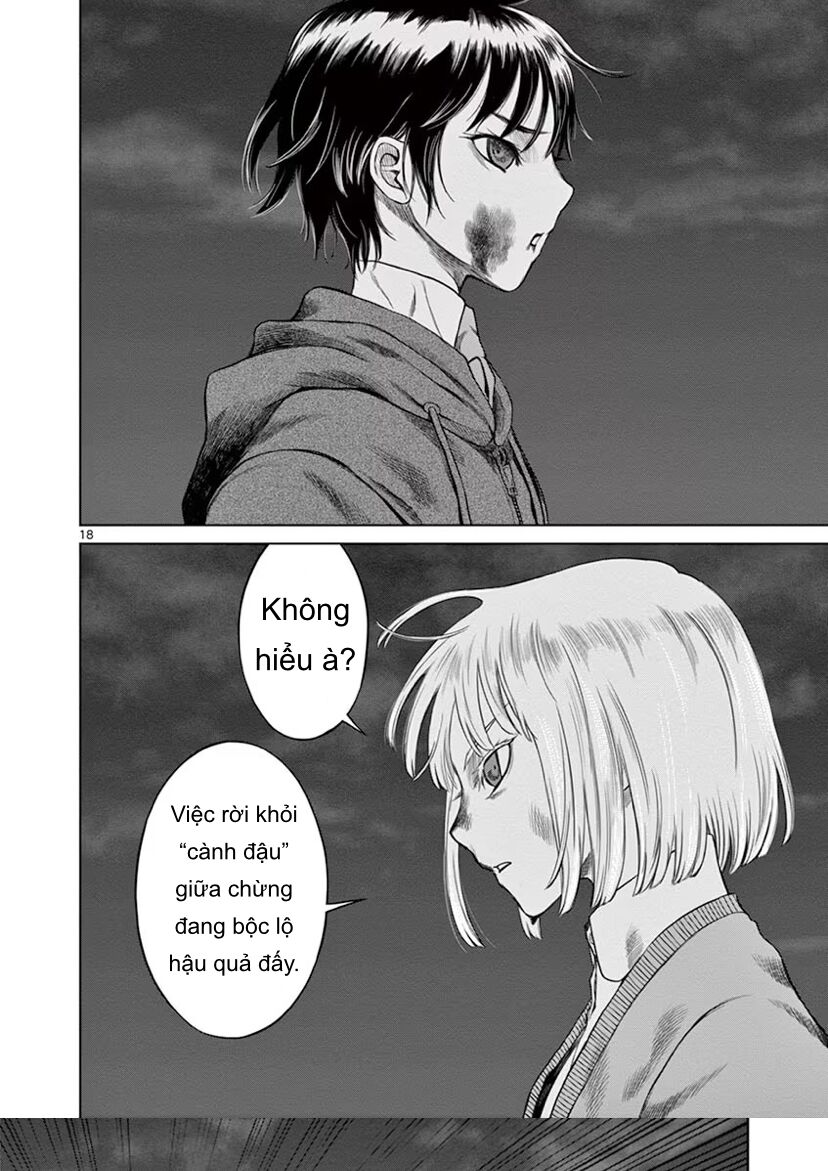 Trang 15