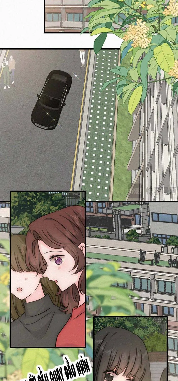 Chapter 183 - Trang 13