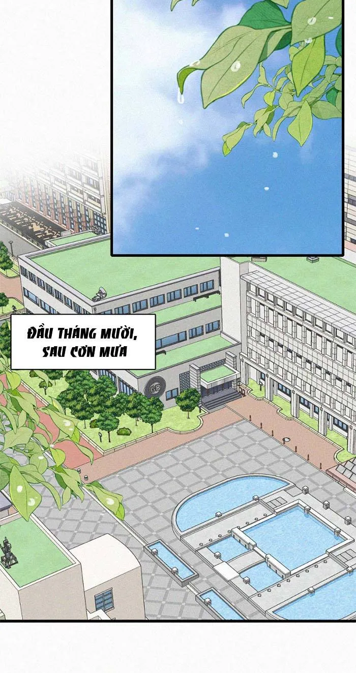 Chapter 183 - Trang 10