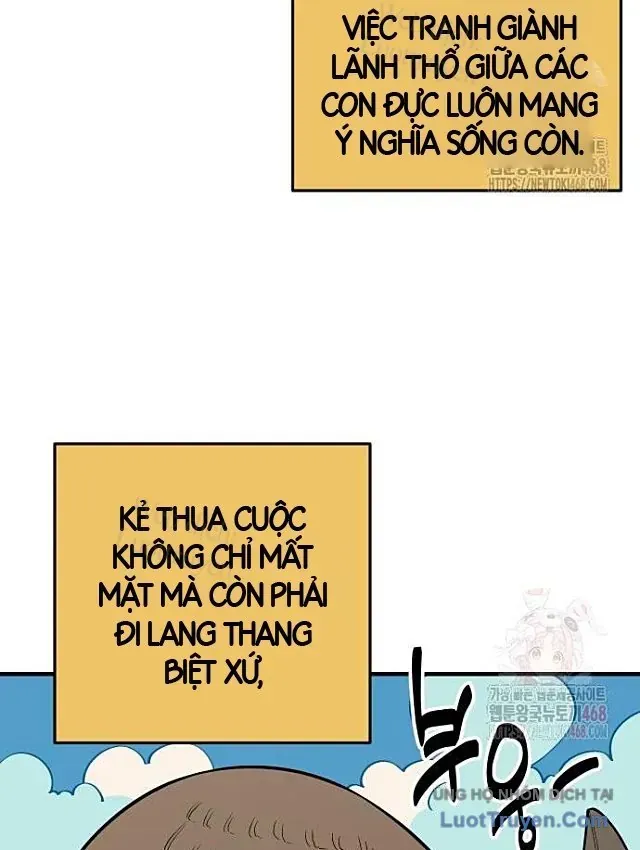 Chương 21 - Trang 37