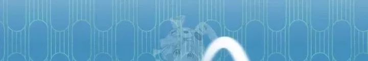 Chapter 22 - Trang 216