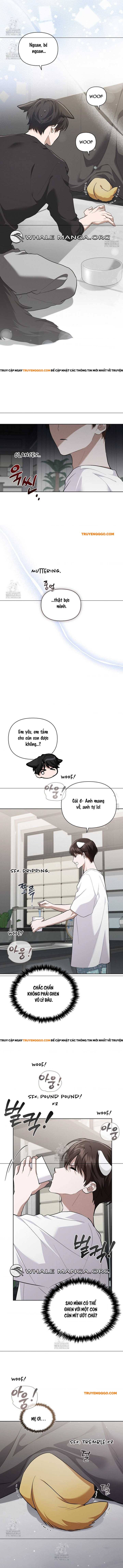 Chương 46 - Trang 11