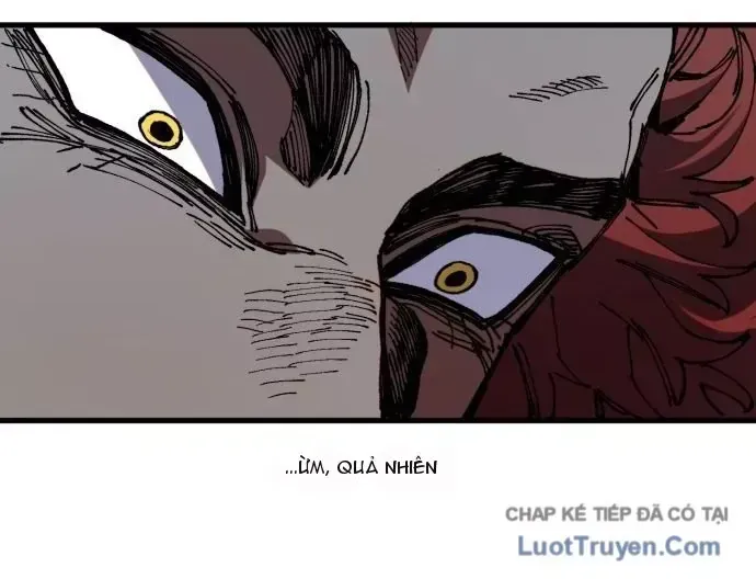 Dũng Sĩ Kiếm Tâm - Chap 35 - Trang 13