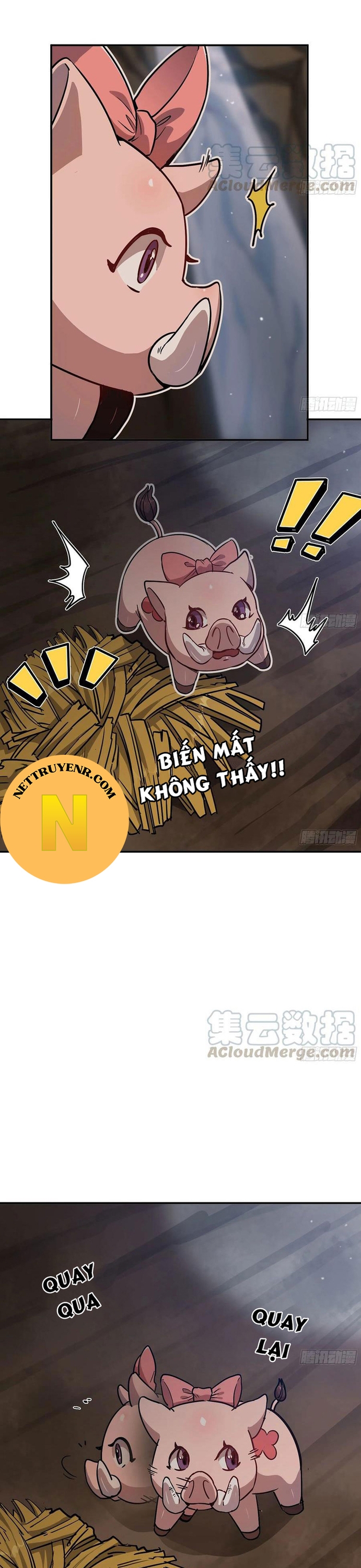 Trang 13