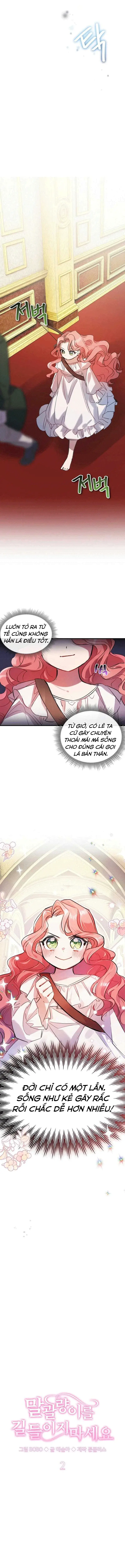Chương 2 - Trang 8