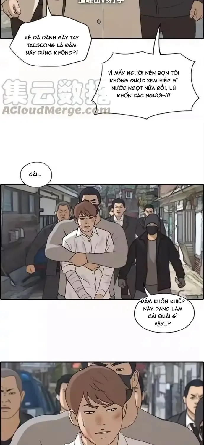 Chương 195 - Trang 5