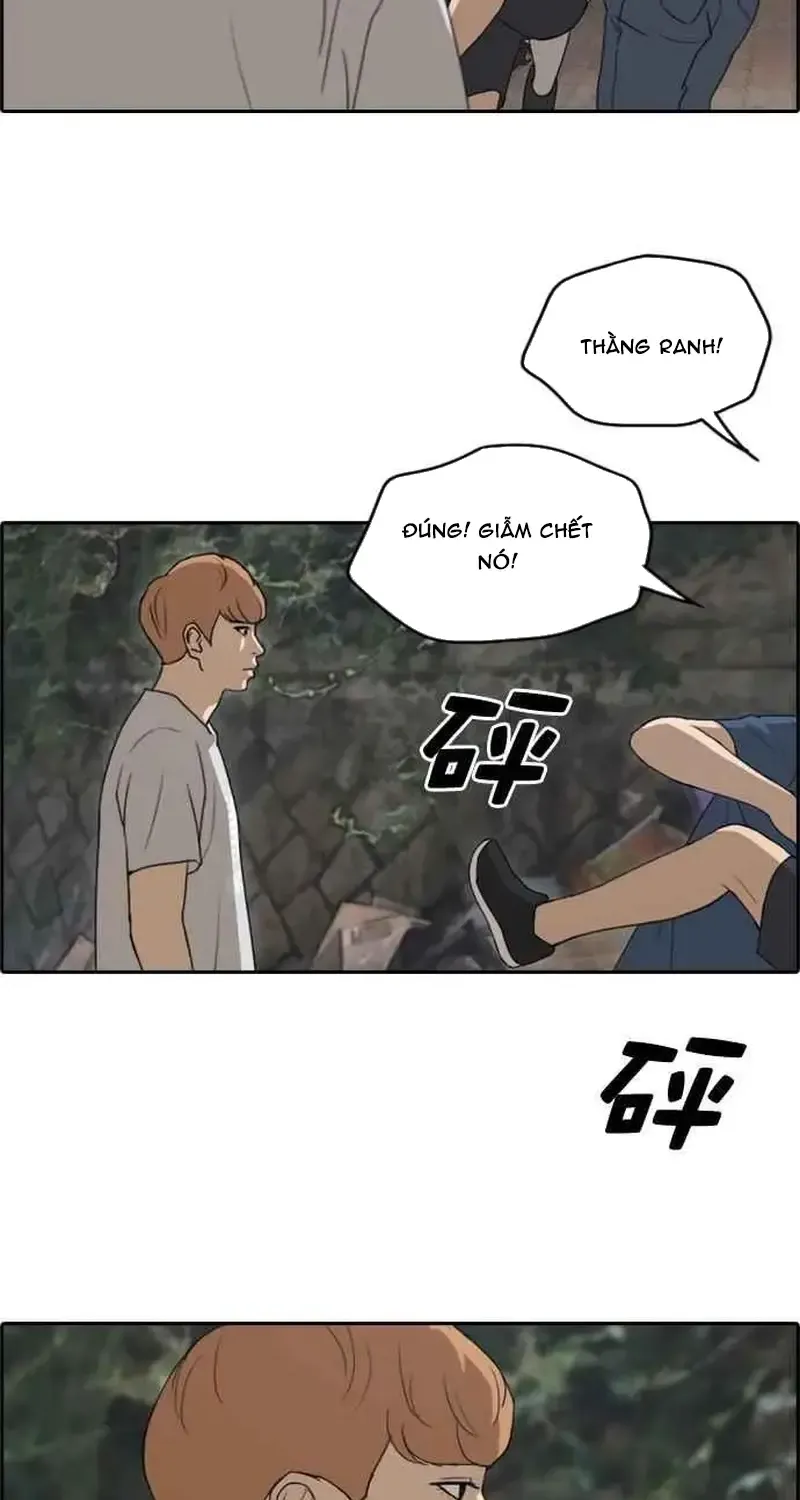 Chương 247 - Trang 52