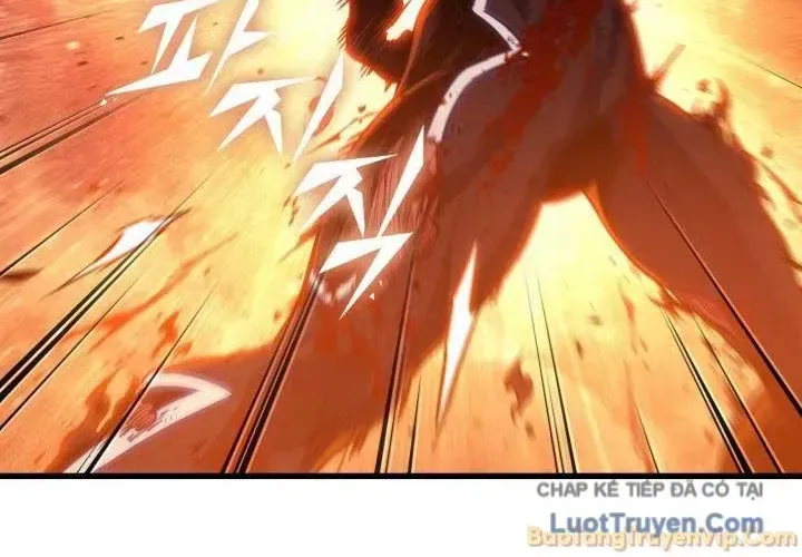 Chapter 195 - Trang 102