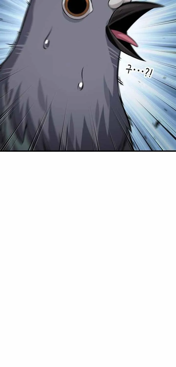 Chapter 204 - Trang 17