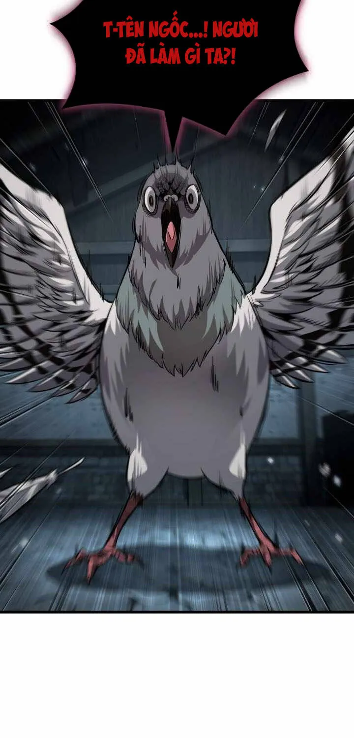 Chapter 204 - Trang 21