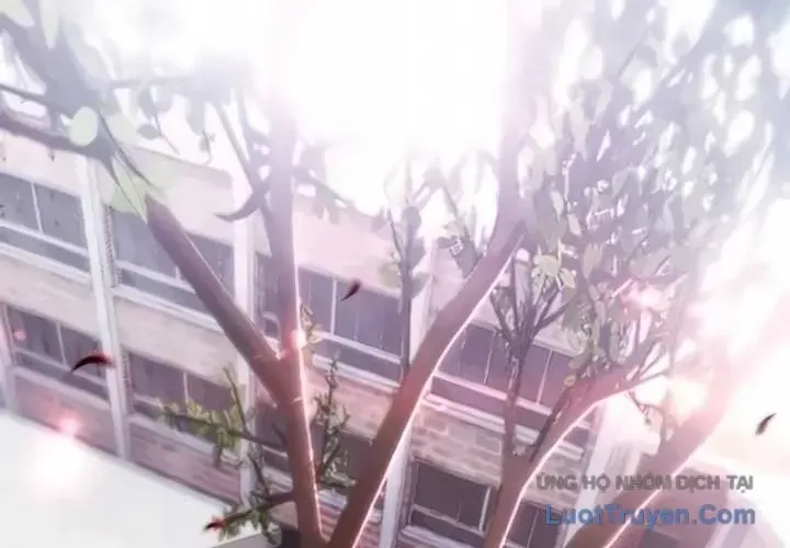 Chapter 185 - Trang 126