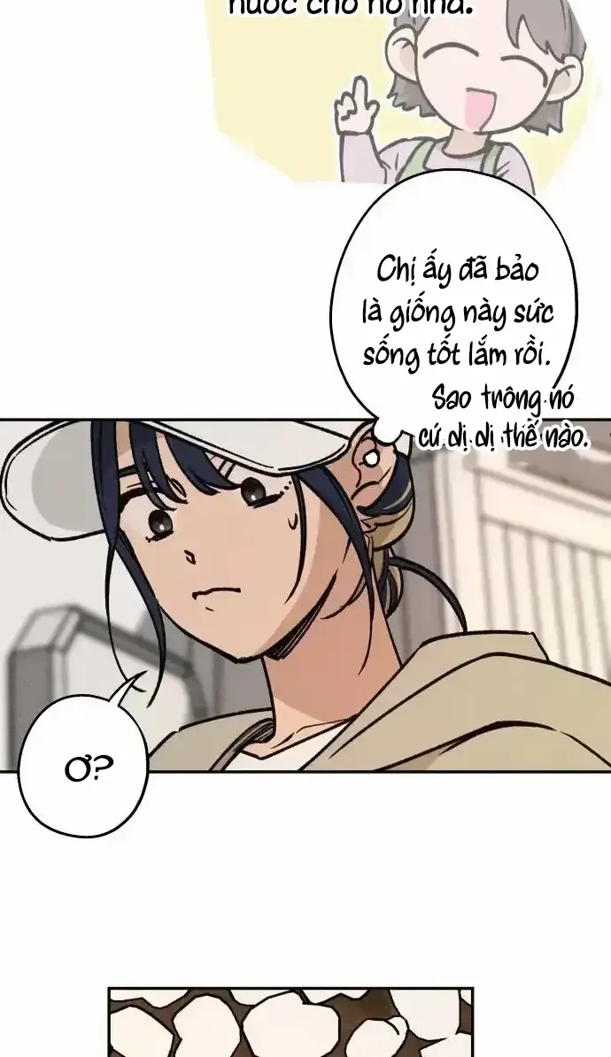 Chương 16 - Trang 7