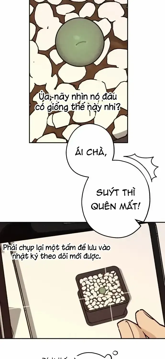 Chương 16 - Trang 8