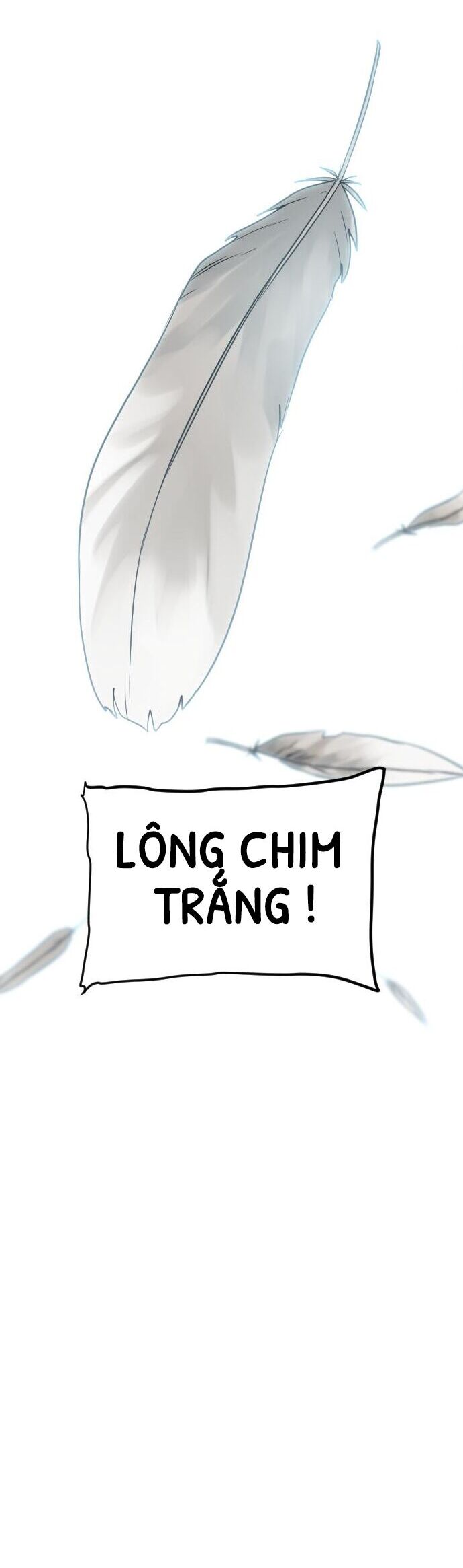 Chapter 124 - Trang 21