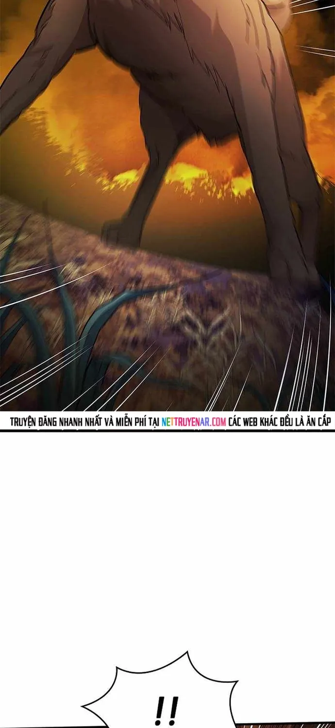 Chapter 254 - Trang 40