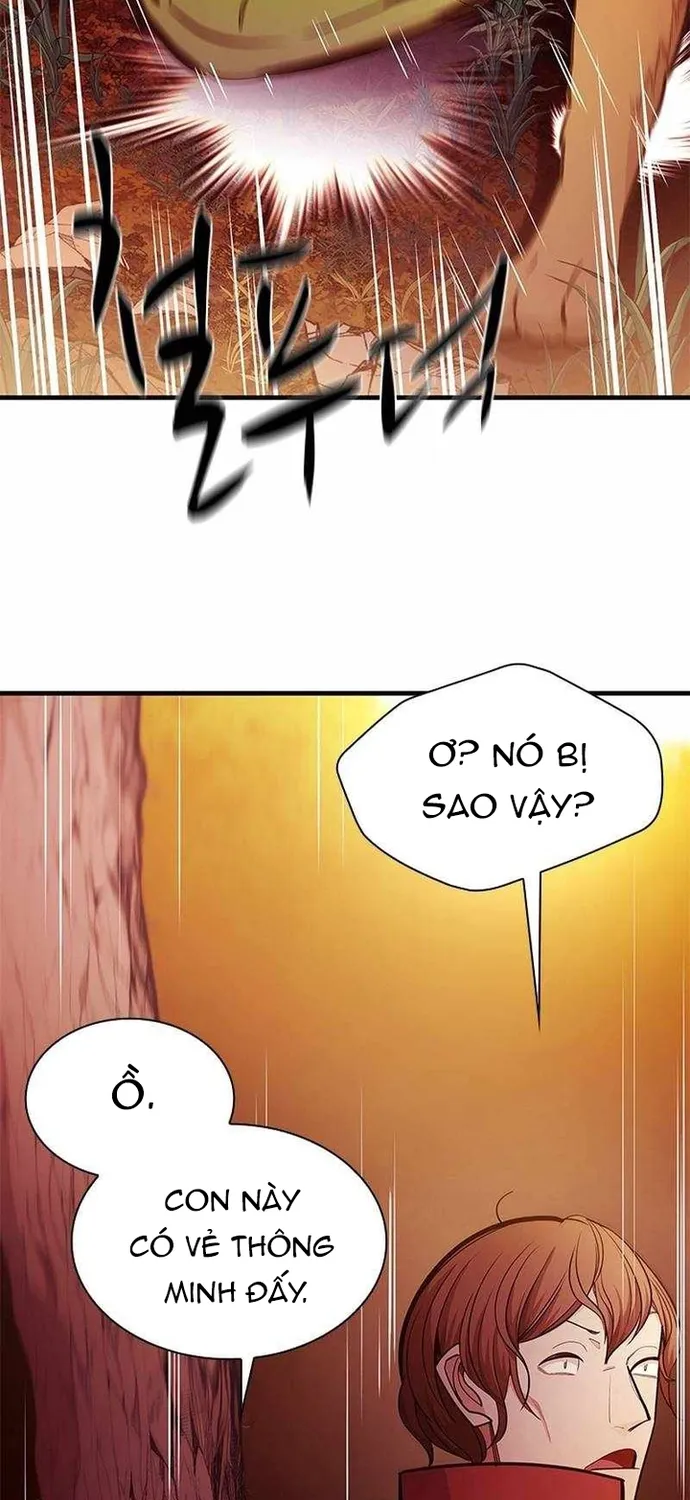 Chapter 254 - Trang 51