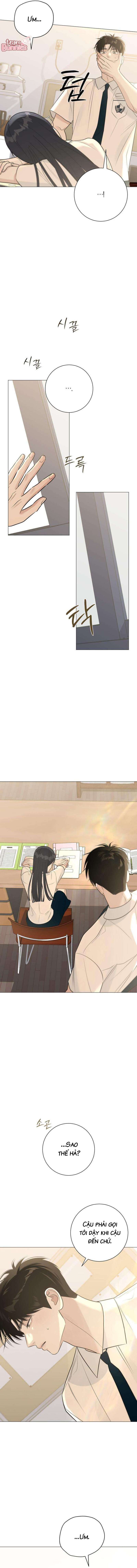 Chapter 9 - Trang 12