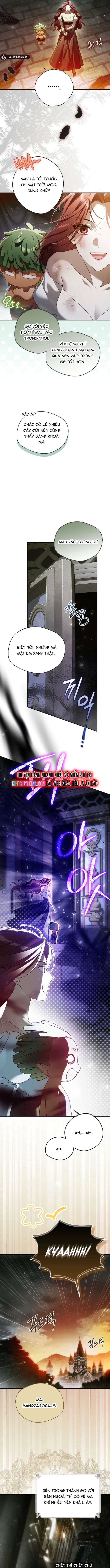 Chapter 2 - Trang 11