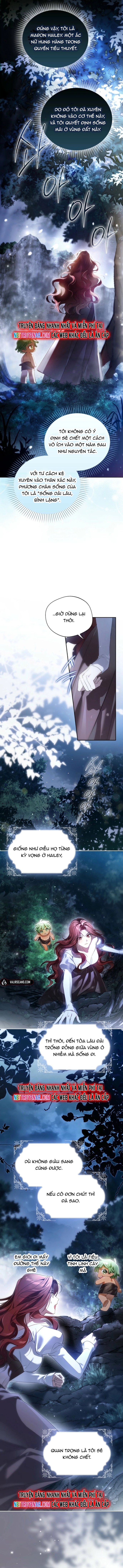 Chapter 2 - Trang 8