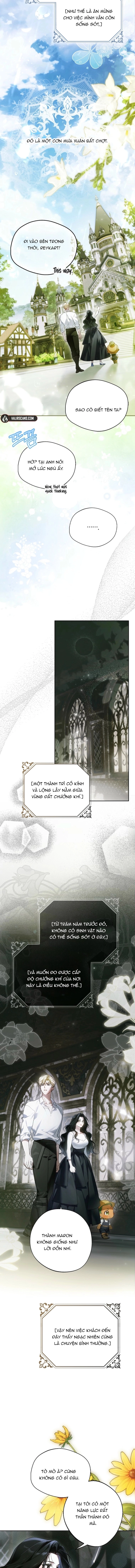 Chapter 3 - Trang 11