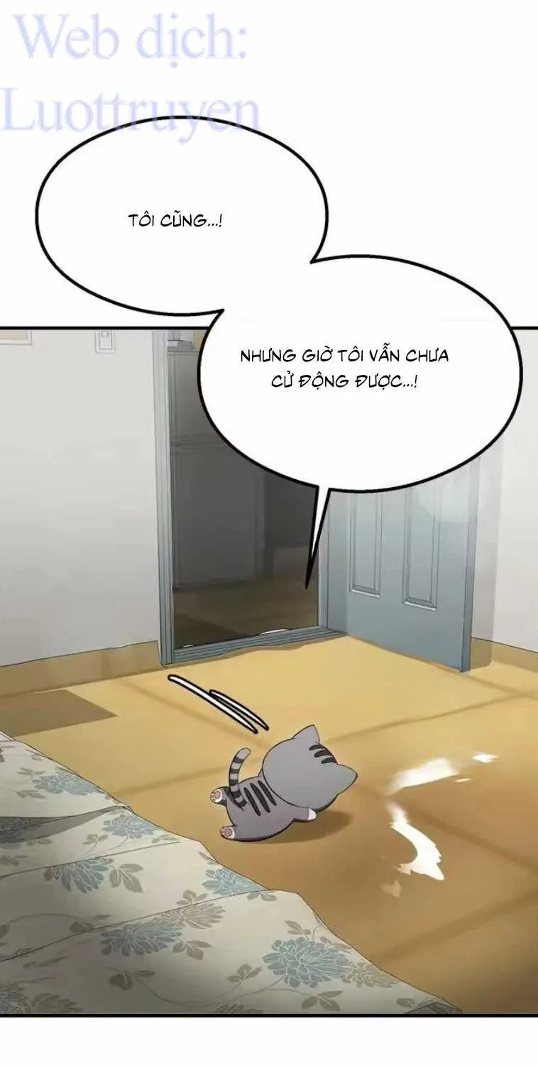Chương 55 - Trang 51