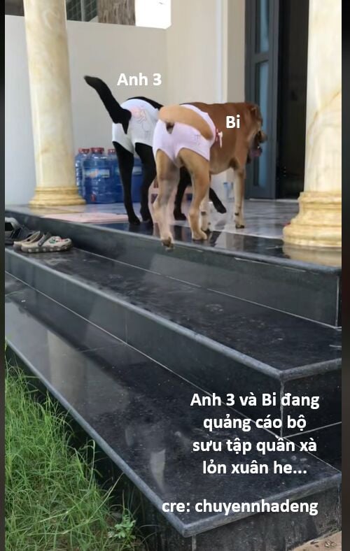 Chương 142 - Trang 81