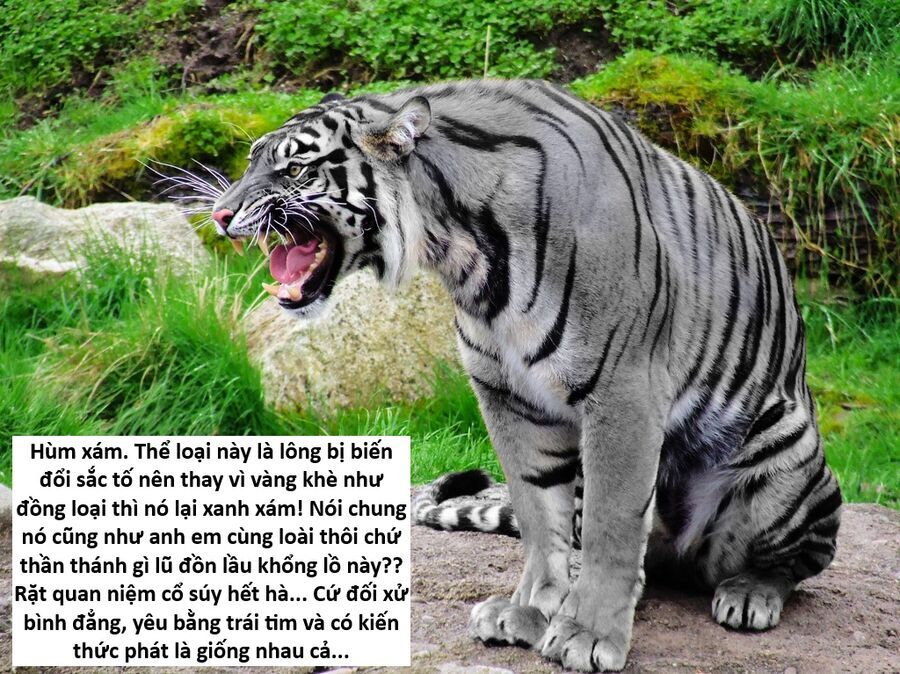 Chương 147 - Trang 133