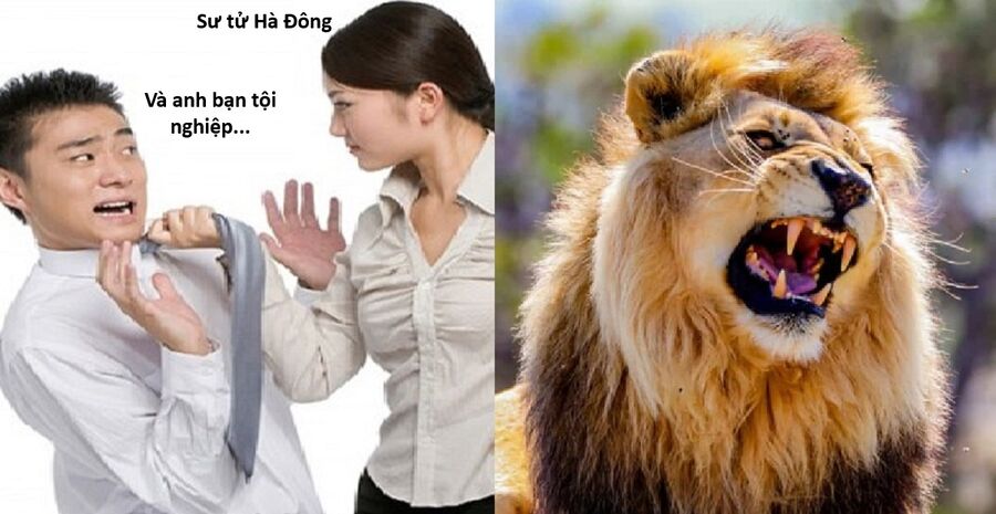 Chương 152 - Trang 8