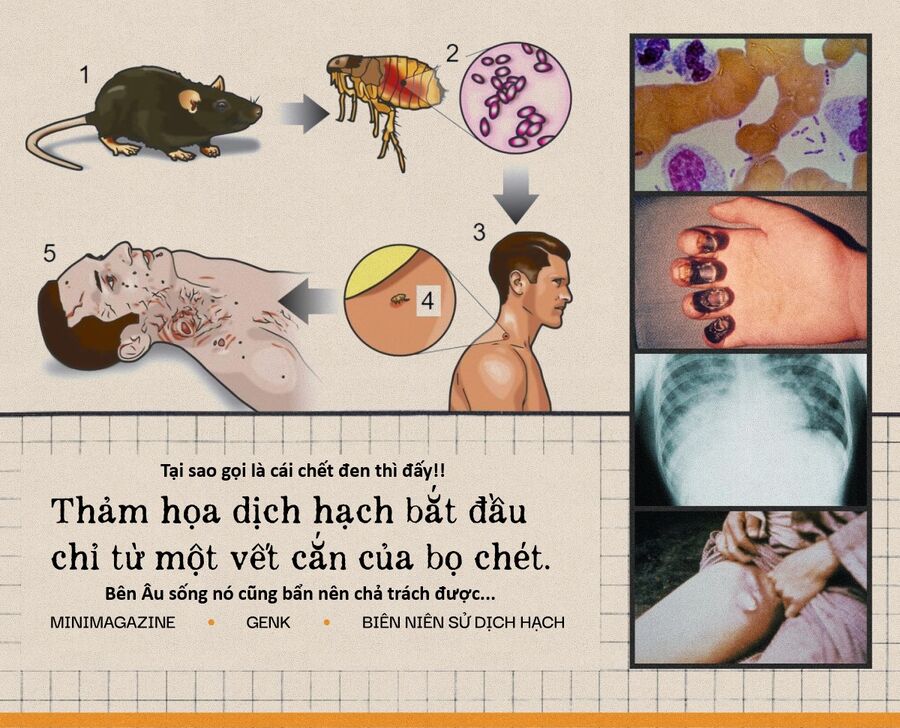 Chương 156 - Trang 18