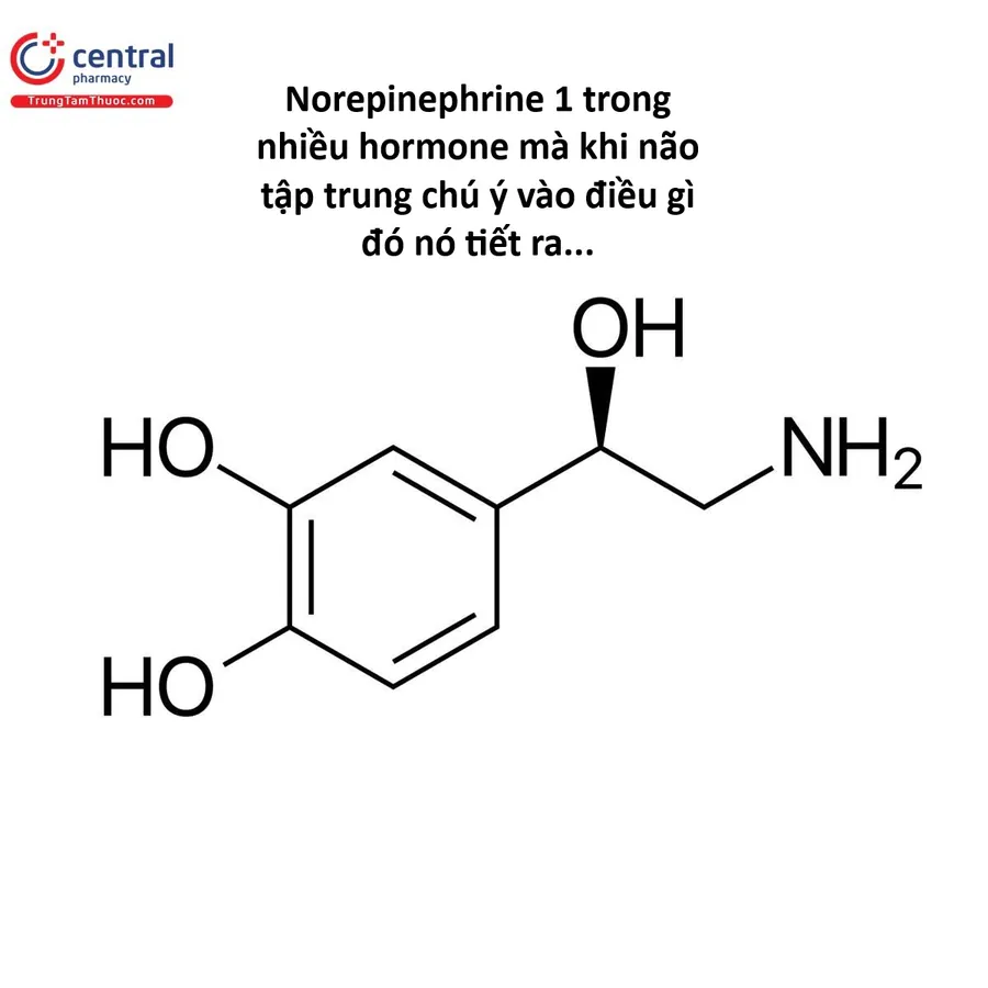 Chương 176 - Trang 3