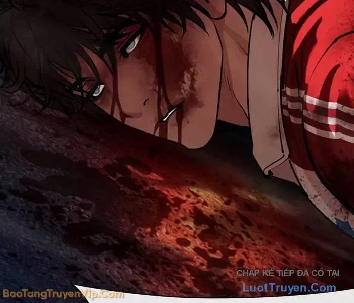 Chapter 582 - Trang 5